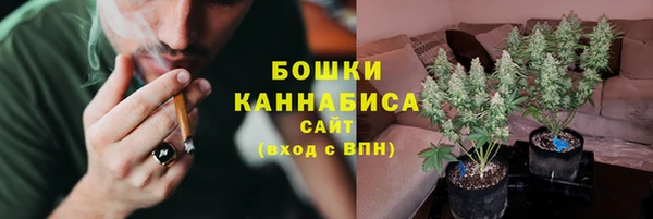 винт Фурманов