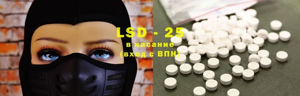 ГАЛЛЮЦИНОГЕННЫЕ ГРИБЫ Вяземский