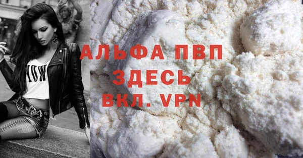 ГАЛЛЮЦИНОГЕННЫЕ ГРИБЫ Вяземский