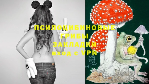 ГАЛЛЮЦИНОГЕННЫЕ ГРИБЫ Вяземский
